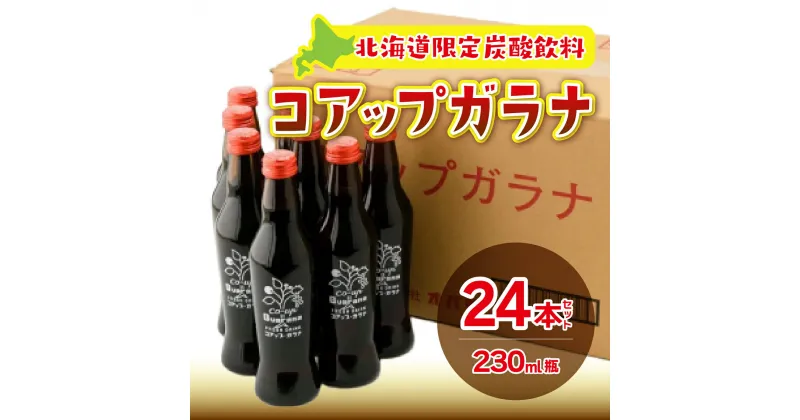 【ふるさと納税】 コアップガラナ24本セット（230ml瓶） ふるさと納税 コアップガラナ ガラナ 230ml×24本入 瓶 24本 NAQ004