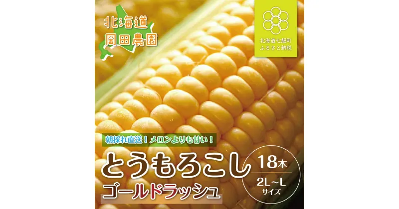 【ふるさと納税】【令和7年発送先行予約】北海道七飯町産とうもろこし「ゴールドラッシュ」18本セット ふるさと納税 人気 おすすめ ランキング とうもろこし ゴールドラッシュ おいしい 北海道 七飯町 送料無料 NAZ012