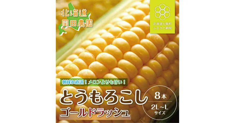 【ふるさと納税】【令和7年発送先行予約】北海道七飯町産とうもろこし「ゴールドラッシュ」8本セット ふるさと納税 人気 おすすめ ランキング とうもろこし ゴールドラッシュ おいしい 北海道 七飯町 送料無料 NAZ013