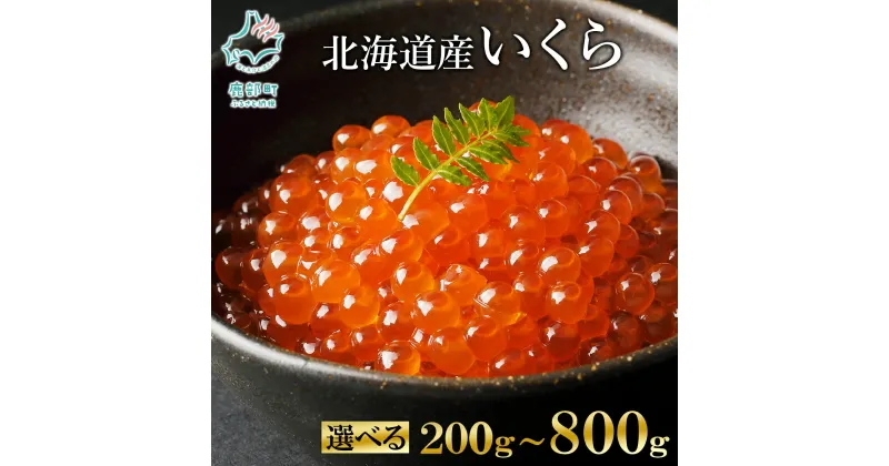 【ふるさと納税】【選べる内容量】 いくら 北海道産 鮭 いくら 醤油漬け 200g～800g 丸鮮道場水産 小分け 魚卵 海産物 食べきり いくら丼 手巻き寿司 ごはんのお供 送料無料