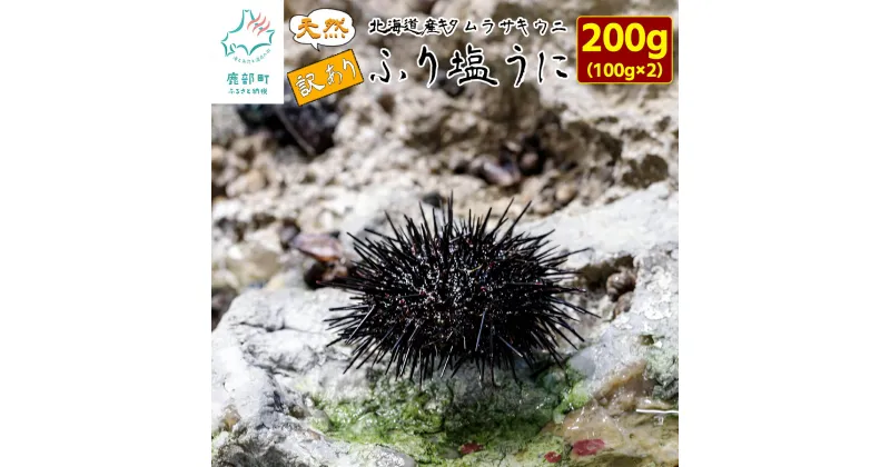 【ふるさと納税】 訳あり 北海道産 天然 キタムラサキウニ『ふり塩うに』100g×2パック 雲丹