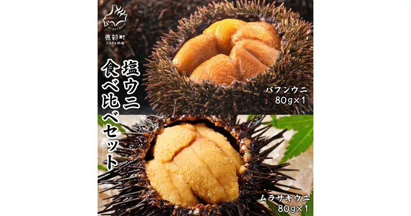 【ふるさと納税】ウニ 食べ比べ バフンウニ ムラサキウニ 80g×2P 塩ウニ 塩蔵うに セット ミョウバン不使用 ごはんのお供 うに丼 海鮮丼 パスタ おにぎり 珍味 魚介 冷凍 送料無料