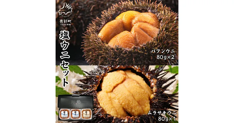 【ふるさと納税】ウニ 塩ウニセット 計 240g (ムラサキウニ×1P バフンウニ×2P) 北海道産 ムラサキウニ バフンウニ 塩ウニ 塩蔵うに ミョウバン不使用 ごはんのお供 うに丼 海鮮丼 パスタ おにぎり 珍味 魚介 冷凍 化粧箱 ギフト 贈答用 お中元 セット 送料無料