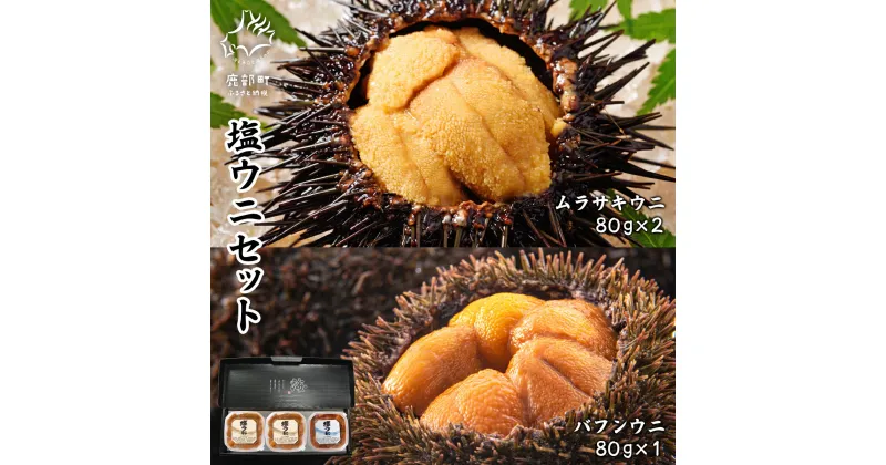 【ふるさと納税】ウニ 塩ウニセット 計 240g (ムラサキウニ×2P バフンウニ×1P) 北海道産 ムラサキウニ バフンウニ 塩ウニ 塩蔵うに ミョウバン不使用 ごはんのお供 うに丼 海鮮丼 パスタ おにぎり 珍味 魚介 冷凍 化粧箱 ギフト 贈答用 お中元 セット 送料無料