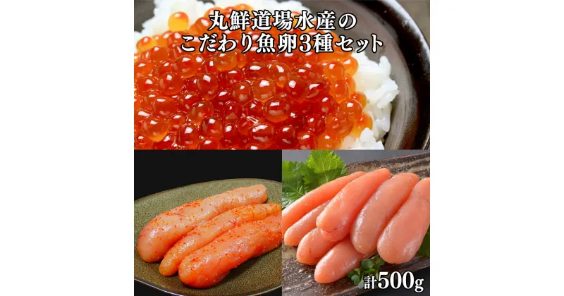 【ふるさと納税】いくら たらこ 明太子丸鮮道場水産のこだわり魚卵3種セット いくら丼 手巻き寿司 辛子明太子 小分け 食べきり ご飯のお供 魚卵 海鮮 魚介類 冷凍 送料無料