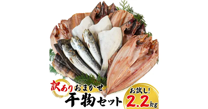 【ふるさと納税】【お試し】干物 訳あり 詰め合わせ 2.2kg 規格外 北海道 不揃い 傷 個包装 セット 魚 冷凍 ホッケ サバ カレイ イワシ 小分け ご飯のお供 おつまみ 贈り物 魚介類 送料無料