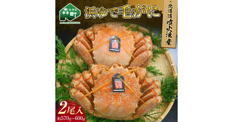 【ふるさと納税】北海道噴火湾産「カネキチ」浜ゆで毛がに2尾入（約570～600g）＜カネキチ澤田水産＞ かに カニ 蟹 ガニ がに 森町 ふるさと納税 北海道 毛蟹 毛かに 毛ガニ 毛カニ mr1-0012