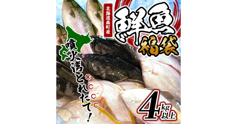 【ふるさと納税】北海道森町産 噴火湾とれたて鮮魚福袋4kg以上 アブラコ（アイナメ） カレイ類 カジカ ソイ ガヤ ニシン ハタハタ フクラゲ サヨリ 鮮魚 海鮮 焼き魚 煮付け 鍋 北海道 森町 mr1-0149