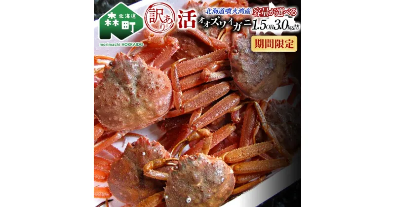 【ふるさと納税】【訳あり】北海道噴火湾産 活オオズワイガニ1.5～3kg＜道産ネットミツハシ＞ 生産者応援 かに 蟹 ずわい蟹 北海道産 鍋 かにすき かにしゃぶ 海鮮 わけあり ご自宅用 mr1-0352