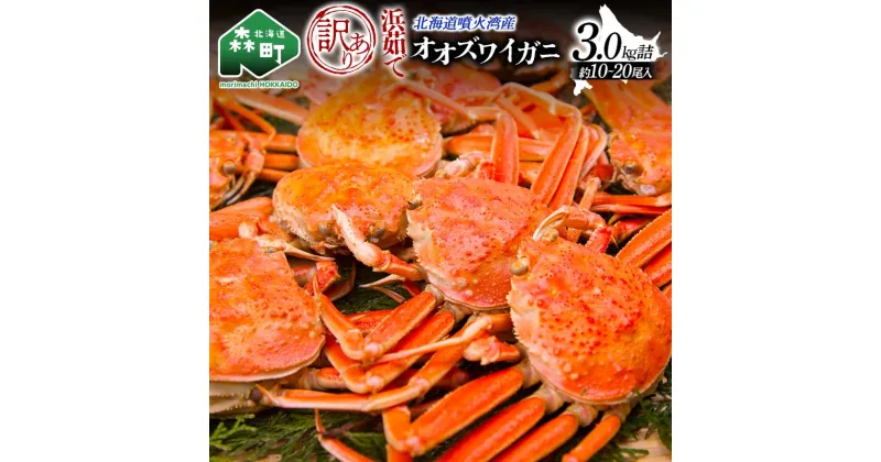 【ふるさと納税】 【訳あり】浜茹でオオズワイガニ 3.0kg 詰め込みセット 北海道噴火湾産 ＜道産ネットミツハシ＞ かに カニ ずわいがに ズワイガニずわい蟹 ガニ がに 北海道 森町 ふるさと納税 オオズワイガニ mr1-0477