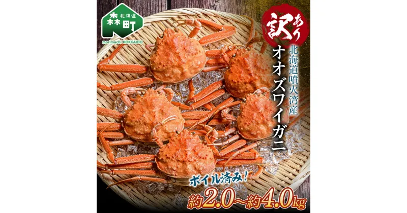 【ふるさと納税】【訳あり】オオズワイガニ（ボイル済）約2kg or 約4.0kg ＜海鮮問屋　株式会社　瑞宝＞ かに カニ 蟹 ずわいがに おおずわいがに 大ずわいがに 森町 北海道 mr1-0665