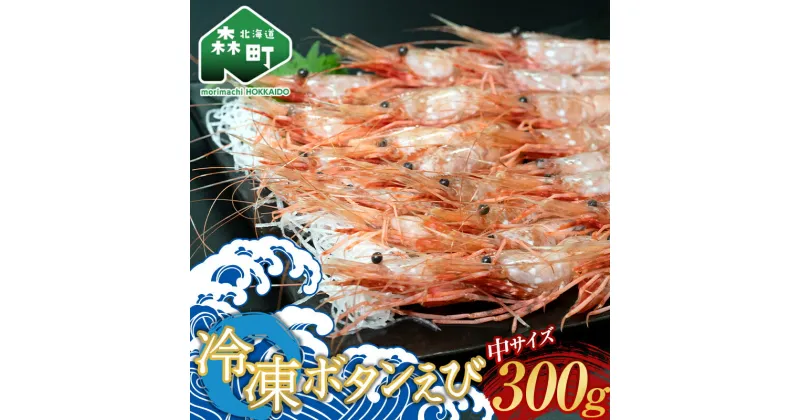 【ふるさと納税】 冷凍ボタンえび （中サイズ） 北海道噴火湾産 300g（12月末まで発送）＜物産館運営振興会((株)ハマグチ)＞ えび 海老 エビ 海産物 魚貝類 ふるさと納税 北海道 森町 mr1-0297