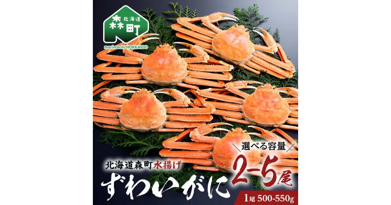 【ふるさと納税】【選べる容量】ずわいがに（500g～550g）2尾～5尾 北海道森町水揚げ かに カニ 蟹 ガニ がに 森町 ふるさと納税 北海道 ずわいかに ズワイガニ mr1-0630var