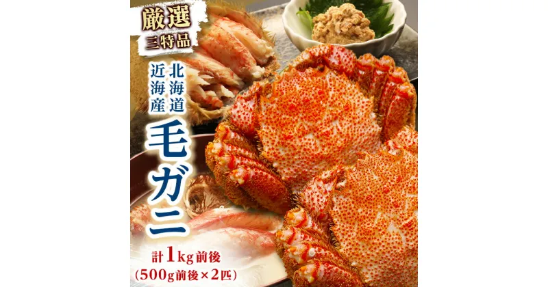 【ふるさと納税】【厳選三特品】北海道近海産毛ガニ 2尾　1kg【配送不可地域：離島】【1125180】