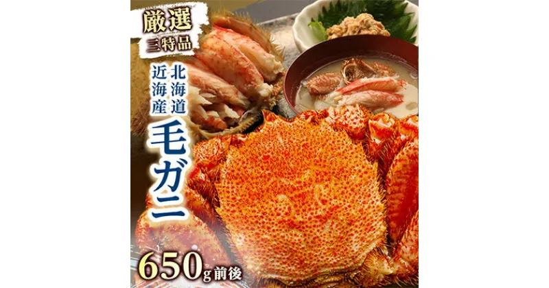 【ふるさと納税】【厳選三特品】北海道産近海毛ガニ650g×1杯_ カニ かに 毛ガニ 毛がに 海鮮 魚介 北海道 八雲町 八雲 人気 ふるさと 【配送不可地域：離島】【1087253】