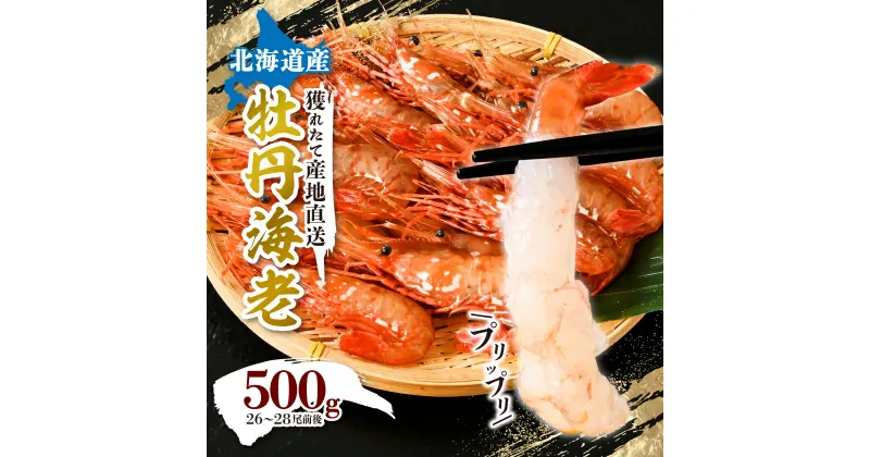 【ふるさと納税】牡丹海老500g　中サイズ　26～28尾程度_ えび エビ ボタンエビ ぼたんエビ 牡丹海老 海老 海鮮 魚介 人気 お取り寄せ 北海道 八雲町 ふるさと 【配送不可地域：離島】【1510172】