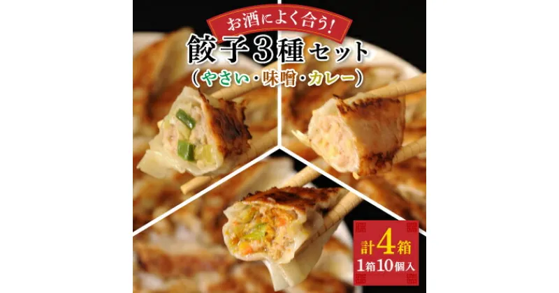 【ふるさと納税】八雲やさい餃子(10個×2箱)+もろみ味噌餃子(10個×1箱)+スパイシーカレー餃子(10個×1箱)【配送不可地域：離島】【1535485】