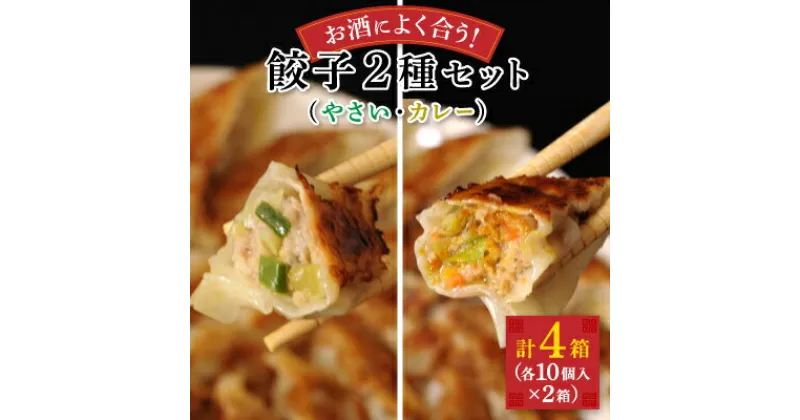 【ふるさと納税】お酒によく合う　八雲やさい餃子+スパイシーカレー餃子(各10個入×2箱)【配送不可地域：離島】【1535489】