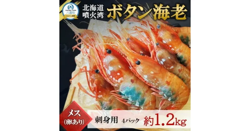 【ふるさと納税】【数量限定】ボタン海老 大サイズ 約1.2kg(約300g×4) 北海道八雲町産 卵あり 刺身用【配送不可地域：離島】【1553379】