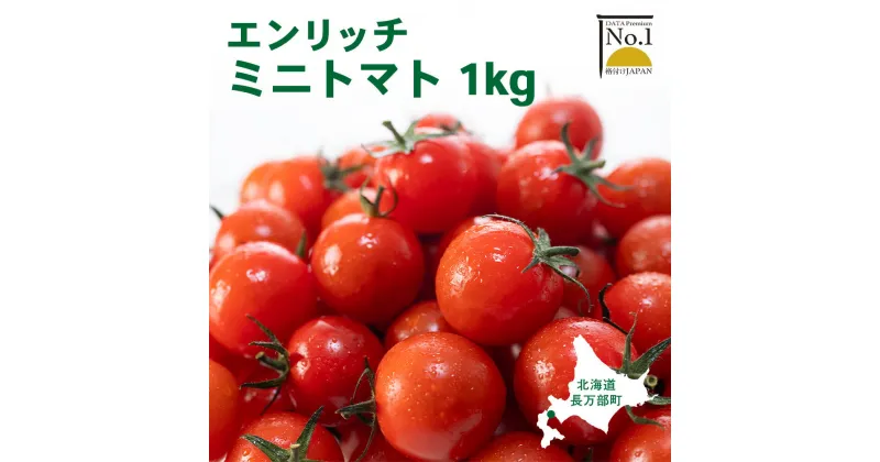 【ふるさと納税】エンリッチミニトマト 1kg ミニトマト お取り寄せ トマト とまと エンリッチ フルーツトマト フルーツミニトマト 野菜 ジュース 健康 栄養 GABA リコピン ふるさと納税 北海道 長万部町 長万部【070006】