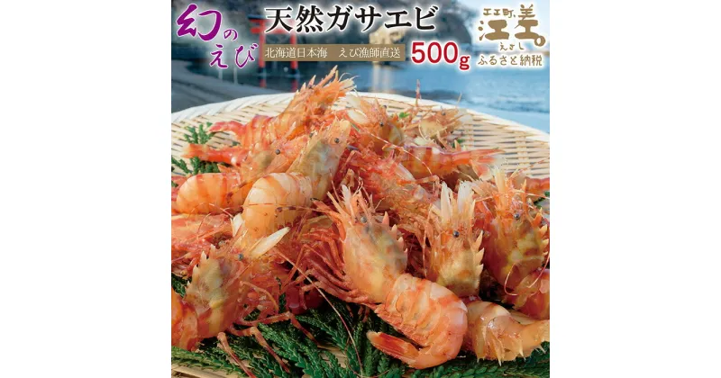 【ふるさと納税】【緊急支援品】《1月から発送》北海道産 「幻のえび」希少な天然ガサエビ 500g　引き締まった身肉と飽きのこない旨味 濃いエビの味が楽しめます！　国産　江差近海産　天然もの　エビかご漁師直送　最良品厳選　生食可　お刺身　天ぷら　エビフライ　海老