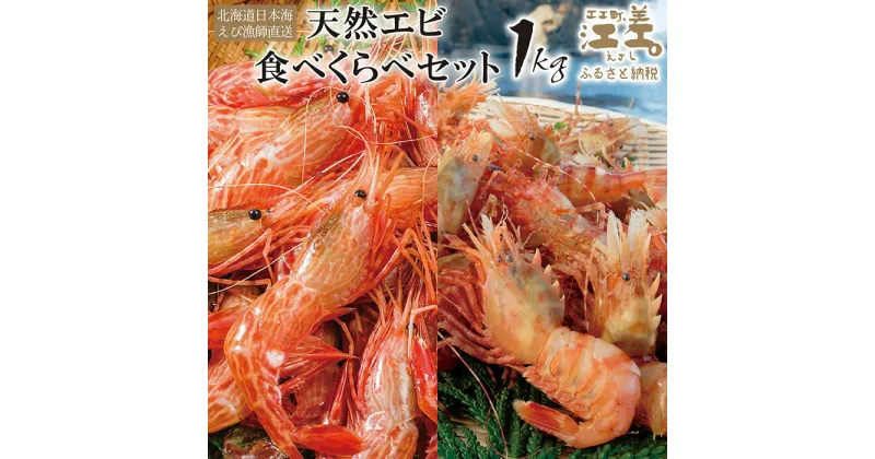 【ふるさと納税】【緊急支援品】《1月から発送》北海道産 天然えび食べくらべセット　計1kg　濃厚な甘みの日本海シマエビ（大）500g＆飽きのこない旨みのガサエビ500g　国産　江差近海産　天然もの　エビかご漁師直送　最良品厳選　生食可　お刺身　天ぷら　エビフライ　海老