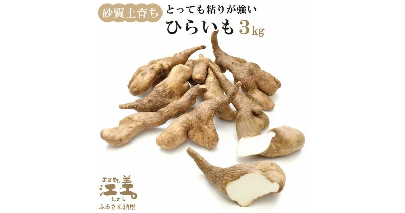 【ふるさと納税】北海道産 ひらいも 3kg　砂質土育ち とっても粘りが強い 北海道の山芋　もちもち食感　露地もの　無漂白　ねばり芋　やまと芋　長芋　自然薯　山かけ　とろろ　いももち　豚汁