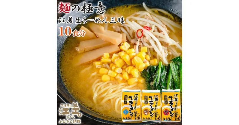 【ふるさと納税】麺の極意！江差生ラーメン三昧セット（10食分）　老舗製麺所の三代目が作る自慢のちぢれ麺　生麺　しお・みそ・しょうゆ　スープ付　北海道のらーめん