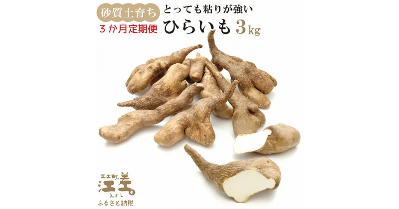 【ふるさと納税】《3か月定期便》北海道産 ひらいも 3kg／毎月お届け　砂質土育ち とっても粘りが強い 北海道の山芋　もちもち食感　露地もの　無漂白　ねばり芋　やまと芋　長芋　自然薯　山かけ　とろろ　いももち　豚汁