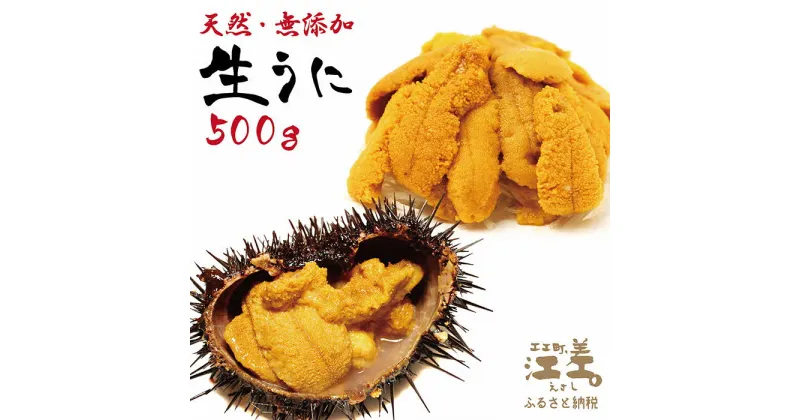 【ふるさと納税】【令和7年発送予約】北海道 江差前浜産 生うに 500g（100g×5パック）【無添加・みょうばん不使用】江差産キタムラサキウニ　日本海熊石産海洋深層水　塩水ウニ　素材を生かした自然の味　国産うに　雲丹　100グラムパック個包装