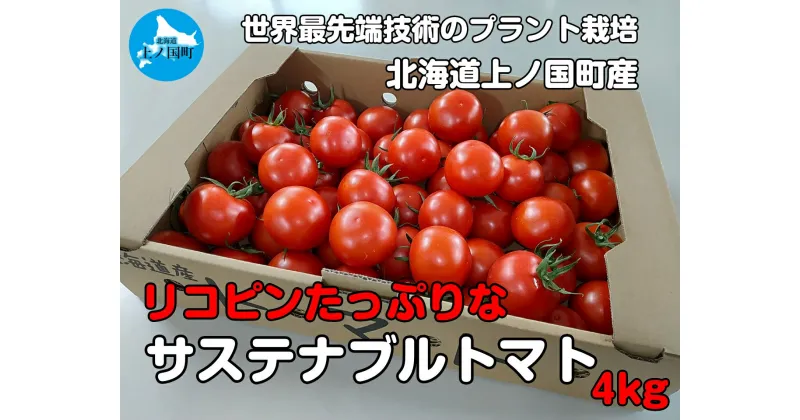 【ふるさと納税】【2024年発送】北海道上ノ国町産 寅福菜園の高リコピントマト「サステナブルトマト」　4kg　とまと　産地直送　プラントハウス　北海道産　完熟 リコピン