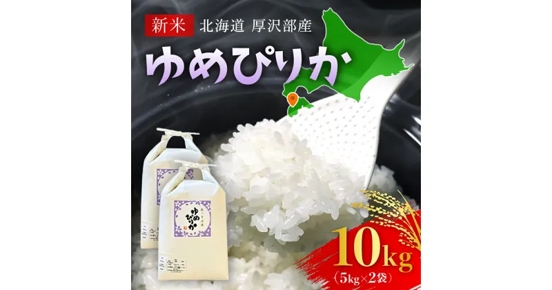 【ふるさと納税】【先行予約令和6年産】北海道厚沢部産ゆめぴりか10kg ふるさと納税 人気 おすすめ ランキング 米 ゆめぴりか ご飯 ごはん 白米 つや 粘り 北海道 厚沢部 送料無料 ASG003