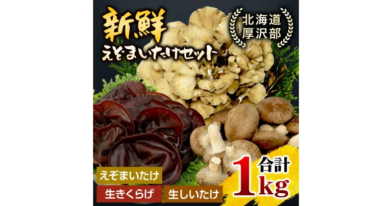 【ふるさと納税】北海道厚沢部町産　新鮮えぞまいたけセット ふるさと納税 人気 おすすめ ランキング えぞまいたけ まいたけ 舞茸 マイタケ きくらげ キクラゲ しいたけ 椎茸 椎茸 旨味 おいしい 歯ごたえ 北海道 厚沢部 送料無料 ASM004