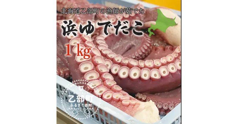 【ふるさと納税】＜漁師の浜ゆでたこ1kg＞北海道 道産 乙部町 乙部町産 蛸 タコ たこ足 タコ 刺身 唐揚げ おかず おつまみ 真空パック お土産 グルメ 国産 食品 海鮮 人気 おすすめ