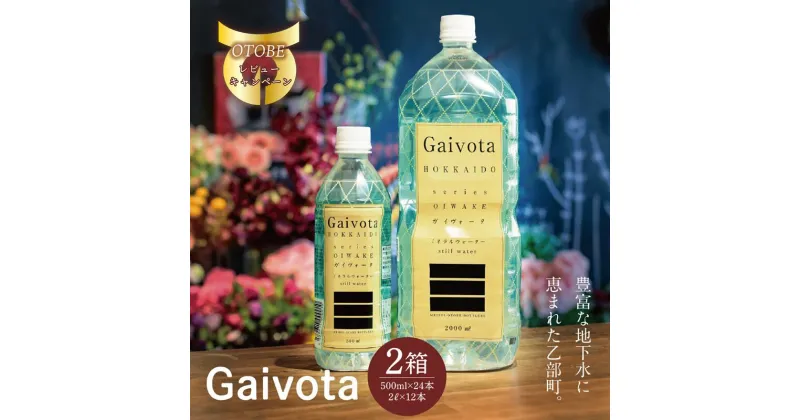 【ふるさと納税】＜Gaivota 1箱（500ml×24本/箱）+1箱（2L×6本/箱＞北のハイグレード食品 天然シリカ水 ミネラルウォーター 軟水 北海道産 北海道 乙部町 天然水 美容 ケイ素 無添加 シリカ ガイヴォータ 美肌 ミネラル 口当たり まろやか 備蓄 災害用 非常用