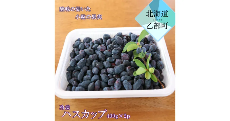 【ふるさと納税】＜山科農園　冷凍ハスカップ（400g×2）＞手作業で収穫　摘み立てハスカップ　北海道　乙部町　果実　スムージー　ハスカップ酒　果実　果物　くだもの　果実酒