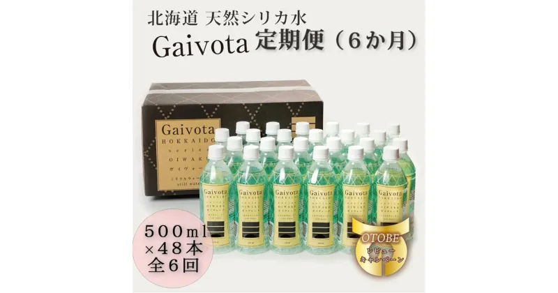 【ふるさと納税】 ＜定期便　Gaivota2箱（500ml×48本）×6回＞北のハイグレード食品 天然シリカ水 シリカ水 ミネラルウォーター シリカウォーター 軟水 北海道 乙部町 天然水 美容 ケイ素 無添加 シリカ ガイヴォータ 美肌 ミネラル リピーター 6か月 備蓄 災害用 非常用