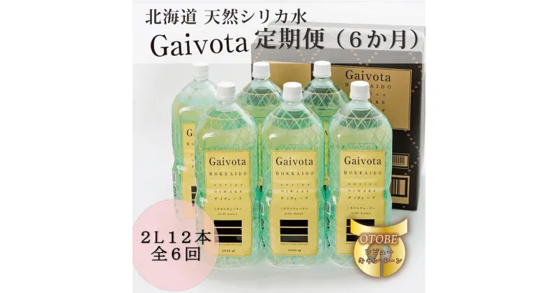 【ふるさと納税】＜定期便　Gaivota2箱（2L×12本）×6回＞北のハイグレード食品 天然シリカ水 シリカ水 ミネラルウォーター シリカウォーター 軟水 北海道 乙部町 天然水 美容 ケイ素 無添加 シリカ ガイヴォータ 美肌 ミネラル リピーター 6か月 備蓄 災害用 非常用