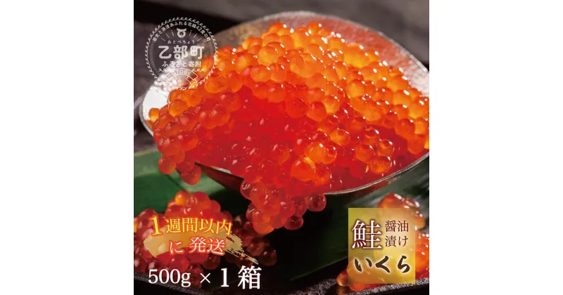 【ふるさと納税】【数量限定】＜いくら醤油漬　1パック(500g)＞鮮度にこだわる笹谷商店の絶品の醤油タレで漬けたいくら（検索：鮭イクラ 醤油いくら 醤油イクラ イクラ醤油漬け 秋鮭 国産 北海道産 日本海 冷凍 人気 訳あり 定額減税 使い道 お中元 のし）