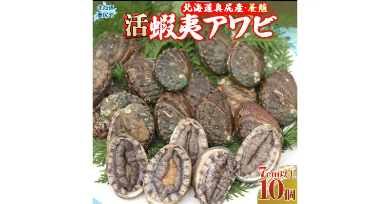 【ふるさと納税】奥尻産活蝦夷アワビ（養殖）10個入り ふるさと納税 鮑 あわび アワビ 蝦夷あわび 蝦夷アワビ 蝦夷鮑 活 活蝦夷アワビ 北海道 奥尻町 送料無料 OKUF004