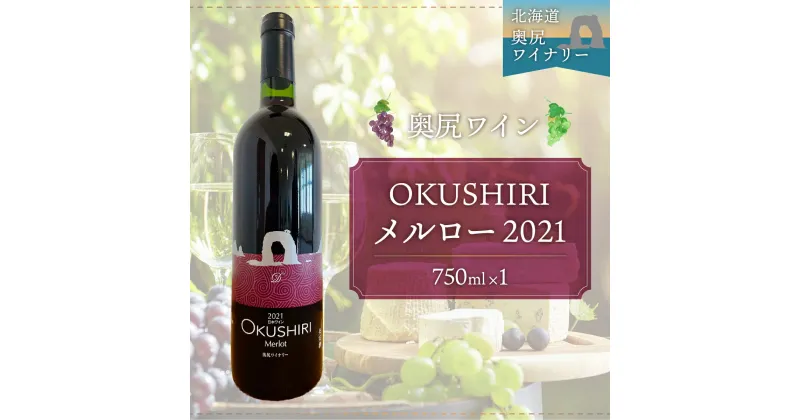 【ふるさと納税】「奥尻ワイン」OKUSHIRI メルロー（赤）2021 ふるさと納税 ワイン わいん 赤ワイン 奥尻ワイン おくしりワイン メルロー OKUSHIRI 北海道 奥尻 送料無料 OKUM005