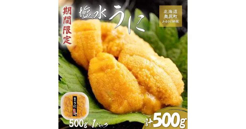 【ふるさと納税】【令和7年発送先行予約】塩水うに 500g×1パック 【 ふるさと納税 人気 おすすめ ランキング うに ウニ 海栗 雲丹 塩水うに 塩水ウニ 塩水雲丹 獲れたて 北海道 奥尻町 送料無料 】 OKUK017