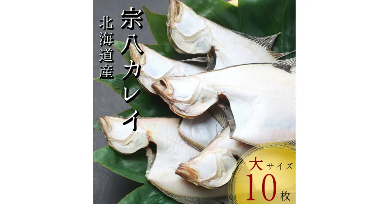 【ふるさと納税】北海道産宗八かれい一夜干し大サイズ10枚(約2kg) 干物　真空パック　無添加　一夜干し　個包装