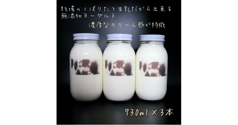 【ふるさと納税】よーぐると工房Bawのヨーグルト　730ml×3本セット(加糖)