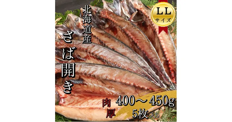 【ふるさと納税】北海道産　せたな町　塩さば開きLL　400~450g×5枚(真空パック入り干物)