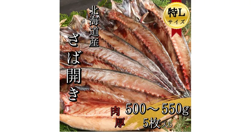 【ふるさと納税】北海道産　せたな町　塩さば開き特L　500~550g×5枚(真空パック入り干物)