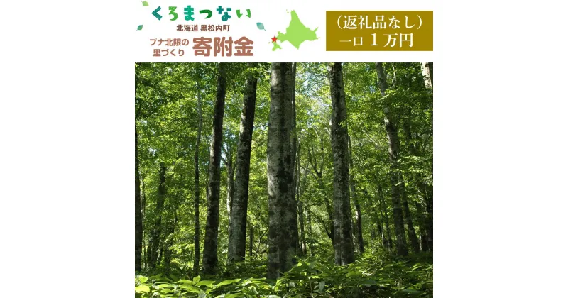 【ふるさと納税】＜返礼品なし＞黒松内町ブナ北限の里づくり寄附金(一口1万円単位でお申込みできます)寄付のみ 返礼品なし 北海道ふるさと納税 ふるさと納税 北海道 黒松内町 通販 ギフト 贈答品 贈り物