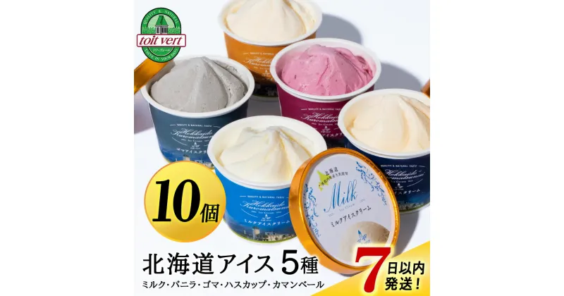 【ふるさと納税】【7営業日以内発送】北海道黒松内のこだわり最高級！トワ・ヴェールアイスクリーム10個セット(全5種×各2個)工場直送アイス ハスカップ 生乳 アイスクリーム 北海道ふるさと納税 ふるさと納税 北海道 黒松内町 通販 ギフト