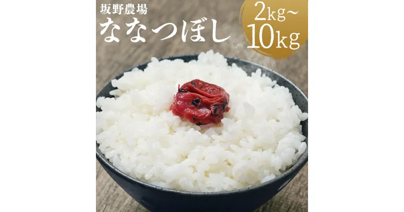 【ふるさと納税】令和6年産 らんこし米 ななつぼし 2kg/5kg/10kg 選べる内容量 お米 白米 精米 北海道産 蘭越町産 送料無料【2024年9月下旬より順次発送予定】