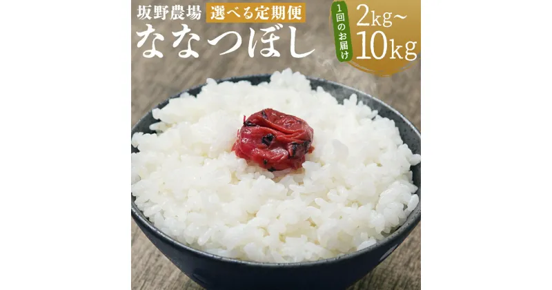 【ふるさと納税】【選べる定期便】らんこし米 ななつぼし 2kg/5kg/10kg 選べる内容量 2ヶ月/3ヶ月/4ヶ月/5ヶ月/6ヶ月 定期便 お米 白米 精米 北海道産 蘭越町産 送料無料【2024年9月下旬より順次発送予定】